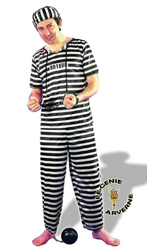 normal_costume-raye-de-prisonnier-bagnard-bandit-tueur-malfrat-sous-les-verrous-derriere-les-barreaux-dalton.jpg