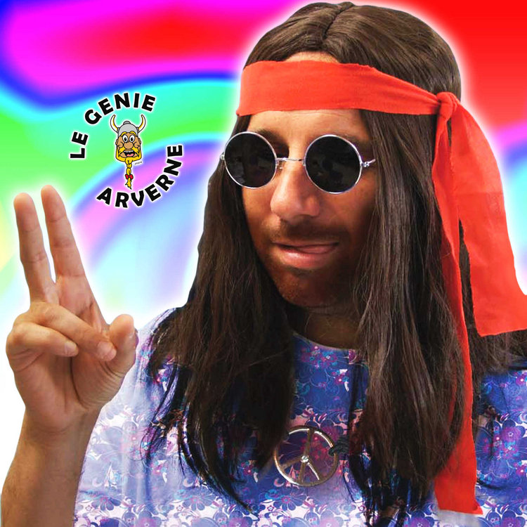 zoom_perruque-baba-cool-deguisement-hippie-peace-and-love-beatnik-flower-power-chevelure-faux-cheveux-longs-postiche-moumoute-coiffure-bandeau-imiter-imitation-john-lennon-psychedelique-woodstock-new-age-tignasse-coiffe.jpg