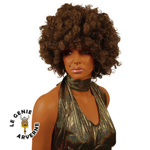 normal_perruque-big-afro-brune-marron-willy-jackson-five-boucles-frisee-annees-80-deguisement-black-deguiser-accessoire-cheveux-crepus-postiche-chevelure-boule-touffe-touffus-coiffure-tignasse-soul-discotheque-club-dancing-sexy.jpg