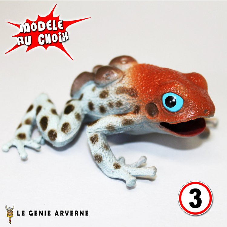 Les crampes chez le chaton aux helminthes