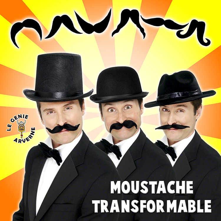Moustache normales pour plusieurs déguisement