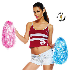 Lot de 12 pompons de pom-pom girl avec poignées pour pom-pom girl - Jolis  pompons de pom-pom girl - Pour fête de sport aérobic (6 couleurs) :  : Cuisine et Maison