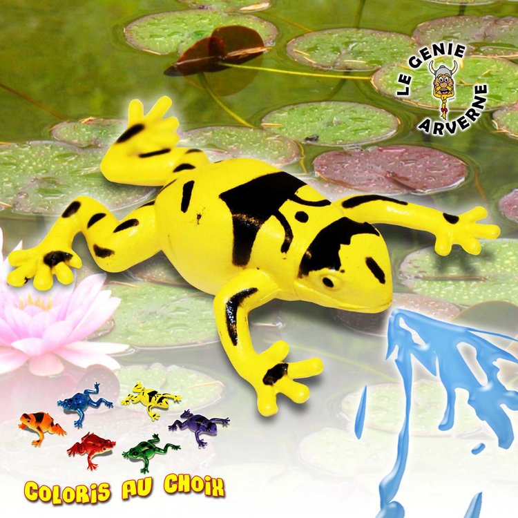 Téléchargement gratuit Images Grenouille Lance Eau le plus cool par