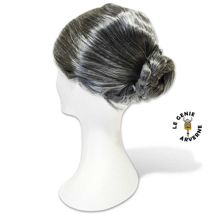 Grand-mère Granny Grandma Chignon Gris Perruque Déguisement Fête Mardi Gras  Costume Accessoire : : Mode